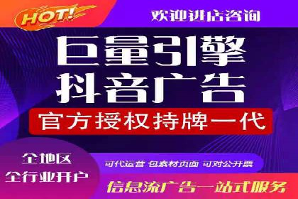 成功运用SEM服务实现品牌推广的案例分析